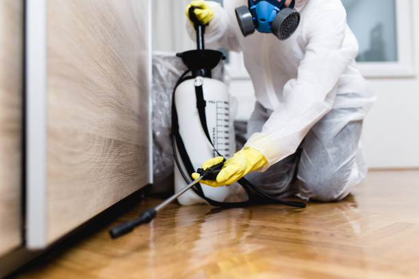 Reliable Midfield, AL Pest Control Solutions