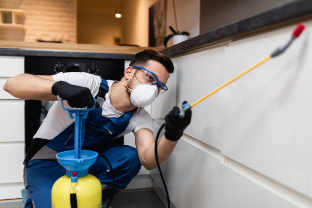 Best Flea Control Services  in Midfield, AL