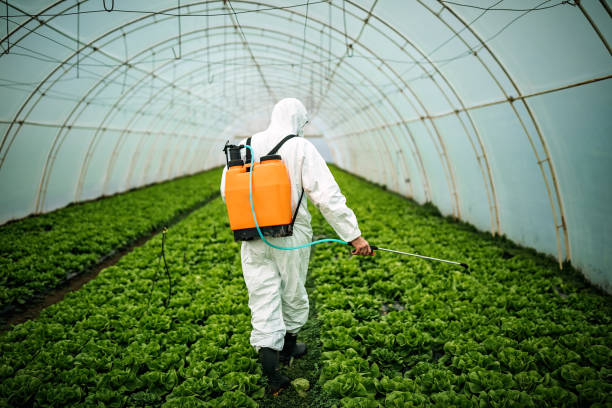 Best Best Pest Control Companies  in Midfield, AL