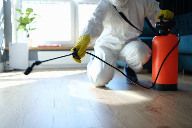 Flea Control Services in Midfield, AL