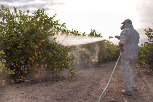Best Pest Control Near Me  in Midfield, AL