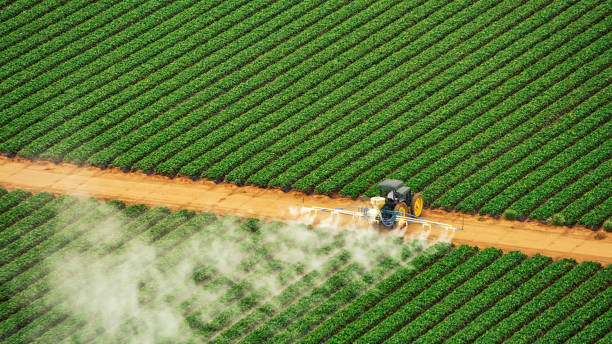 Best Mosquito Control Services  in Midfield, AL