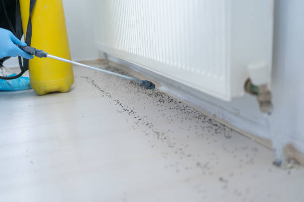 Best Termite Control Services  in Midfield, AL